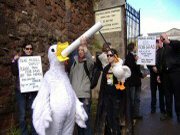 11th April 2008. Exeter Festival Foie Gras Demo, Exeter Castle & Northernhay Gardens.