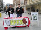 EFFA badger stall in Exeter city centre, October 2013
