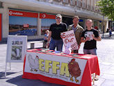 EFFA badger stall in Exeter city centre, October 2013