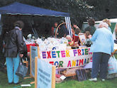 Exeter Green Fair, 2001