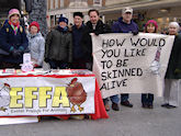Anti-fur stall in Exeter, February 2013