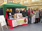 Go Vegan Launch stall, Exeter, March 2014