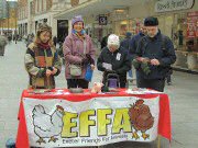 14th February 2009. Day of Action for Pigs, Exeter High Street. We held an information stall on Valentine's Day as part of a joint campaign by Viva! and Animal Aid, based on their undercover investigations of British pig farms.