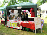 EFFA stall at Exeter Respect Festival, June 2015