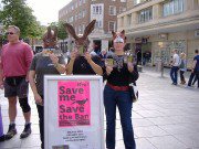 18th September 2010. "Save Me" National Day of Action to keep the hunt ban.