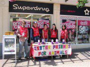 3rd June 2006. Uncaged Street Collection, Torquay. Street collection held in Torquay Town Centre on behalf of Uncaged.