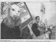 Press clipping from Viva! demo.